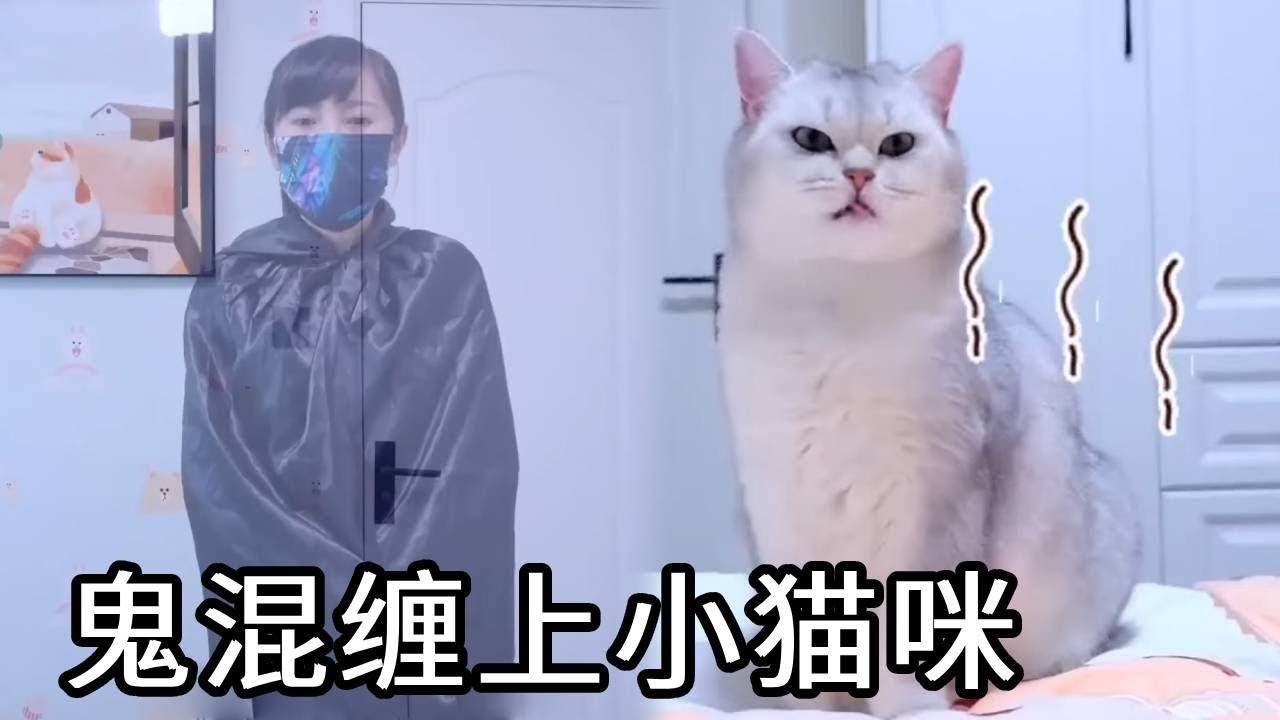 家中突现神秘黑衣魂，紧盯七宝与小圆子！一场心愿了结，竟让隐藏的真相意外突显