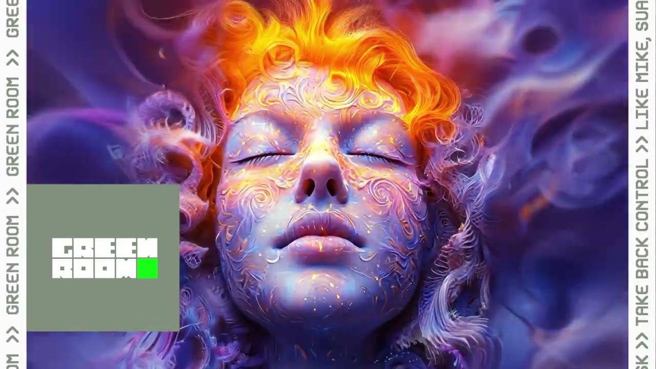 Like Mike & Suark & Dyrisk - Take Back Control