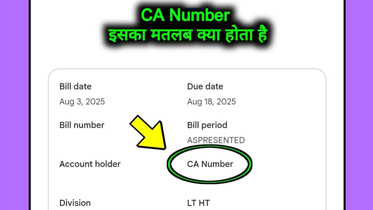 What is the meaning of CA Number | What is the meaning of CA Number