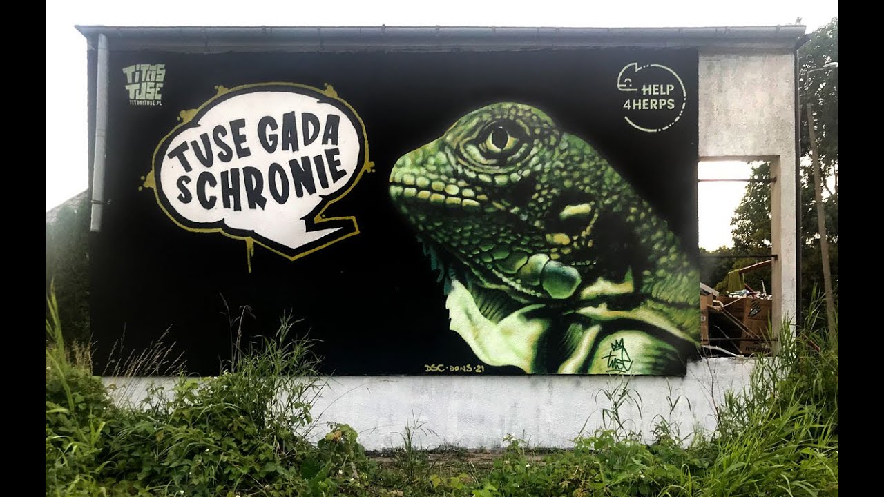 tuse gada schronie