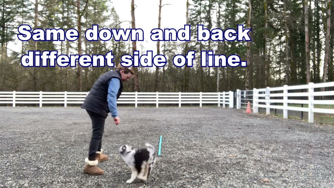 Beginning Agility - Front Cross Foundation Handler Training