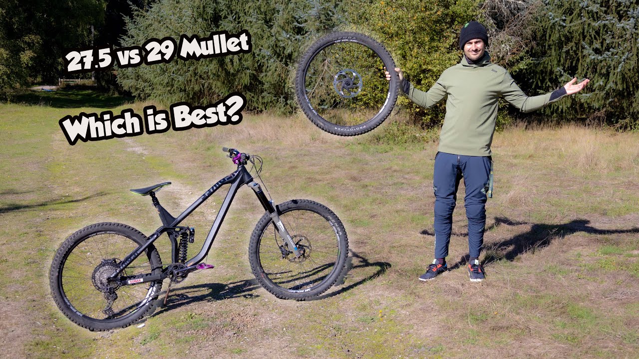 27.5