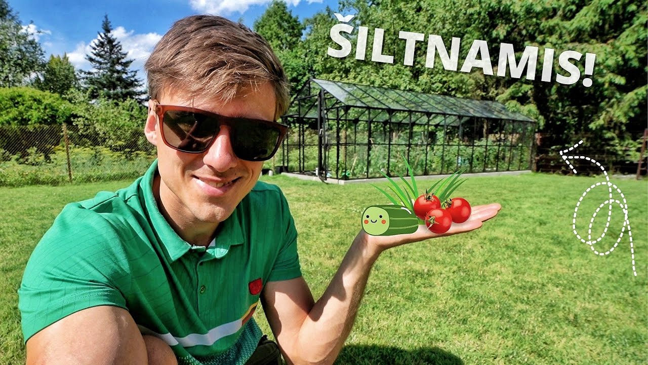 ŠILTNAMIS PER 21 MINUTĘ ARBA LABIAUSIAI ATSIBODĘS PROJEKTAS!