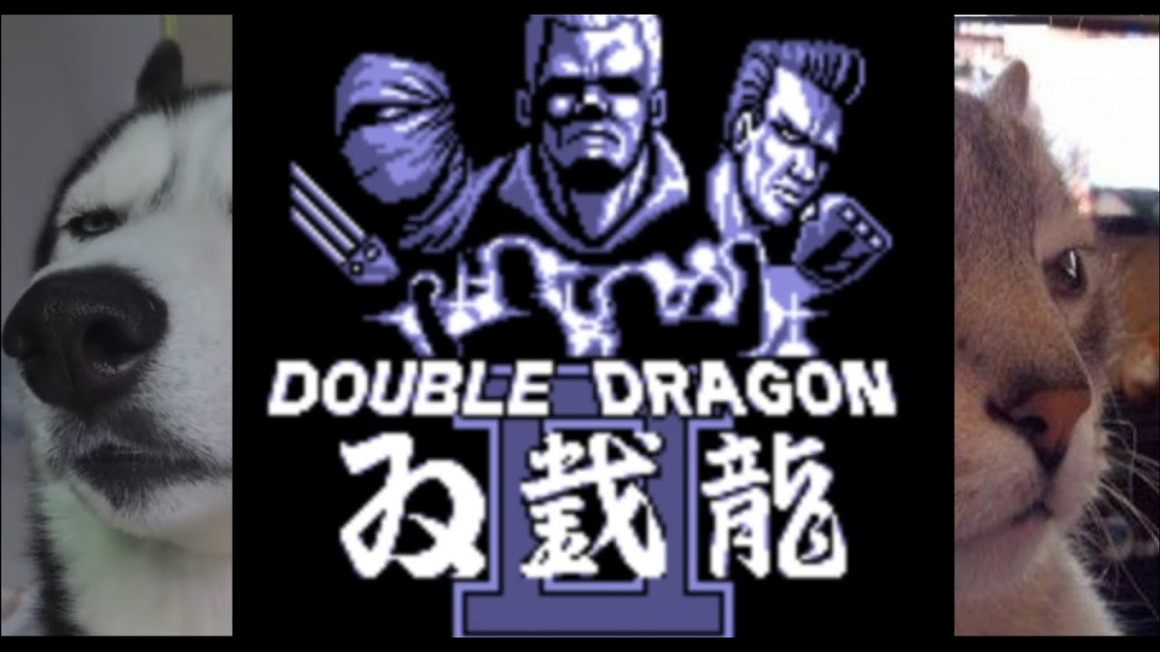 Gameboy Double Dragon II one coin clear