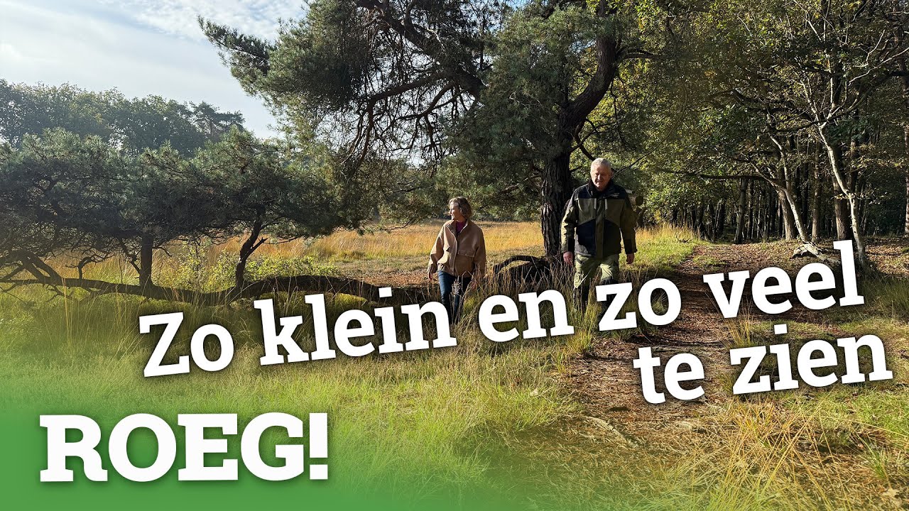 Wandelen door de geschiedenis van het Uffelter Binnenveld | ROEG! Uitzending