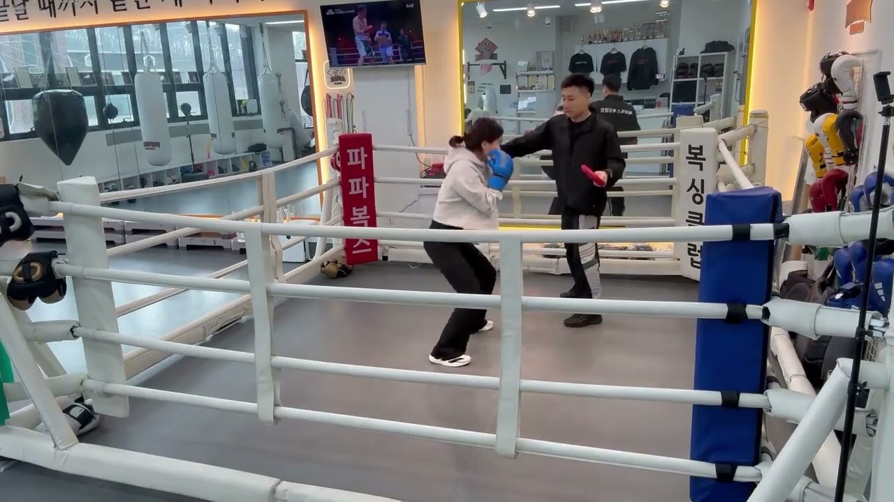 복싱 8개월 차, 아침반 엄마 미트치기