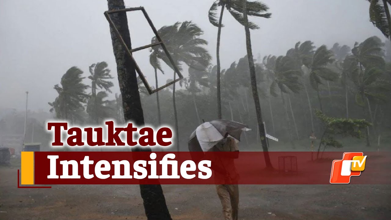 Cyclone Latest Update: Tauktae Intensifies Into Cyclonic Storm, NDRF Teams Join Rescue & Relief Ops