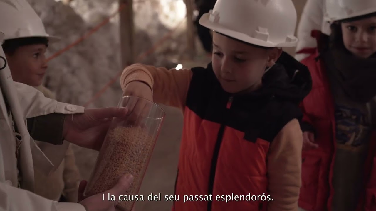 Entorn d'Aprenentatge (EdA) de Cardona