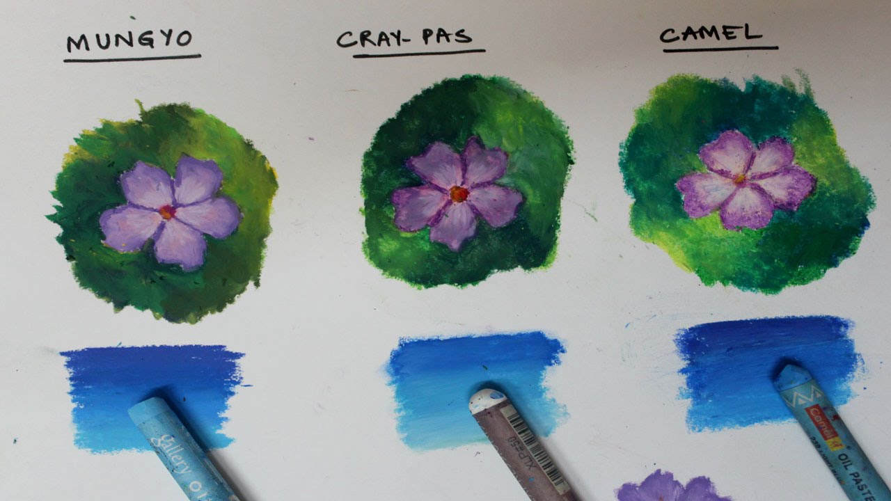 Oil Pastel Comparison: Mungyo Gallery vs Cray - Pas vs Camel | Saminspire