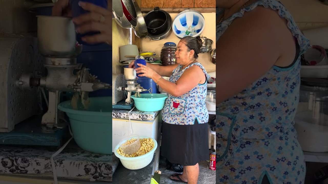 Les invito a hacer unas ricas tortillas de maíz orgánico 🌽🌽