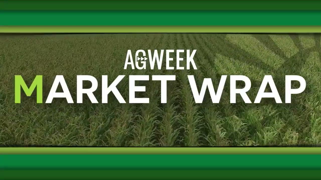 Frosted wheat, dry South America and volatile economy at play in markets this week