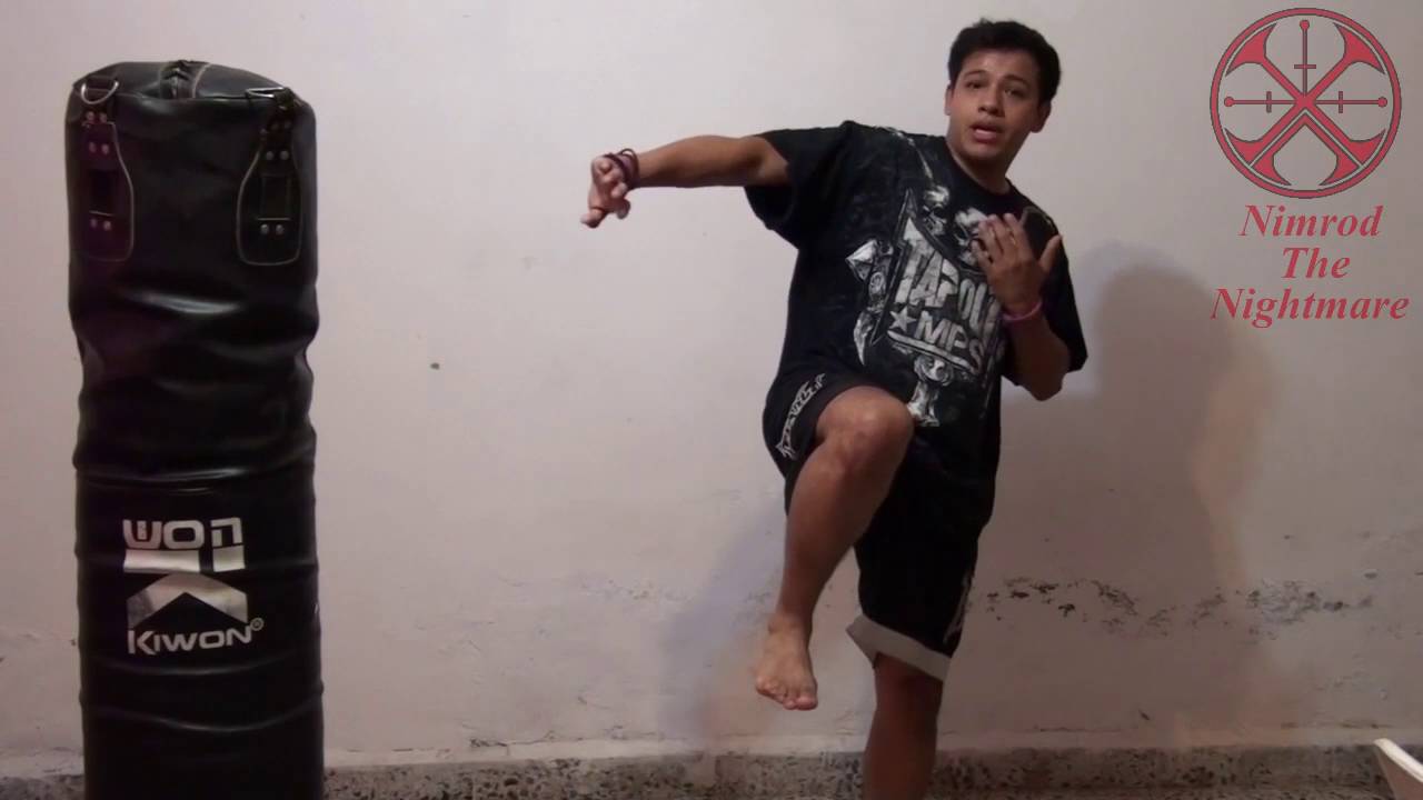 Demostracion y resumen de las 4 patadas básicas de las artes marciales y como se hacen