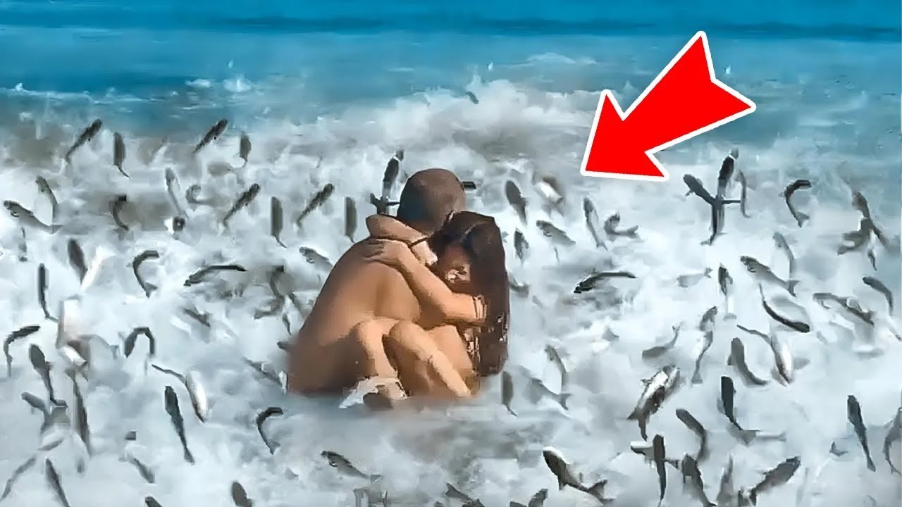 Cảnh Tượng Điên Rồ Trong Tự Nhiên Mà 100 Năm Mới Thấy Một Lần