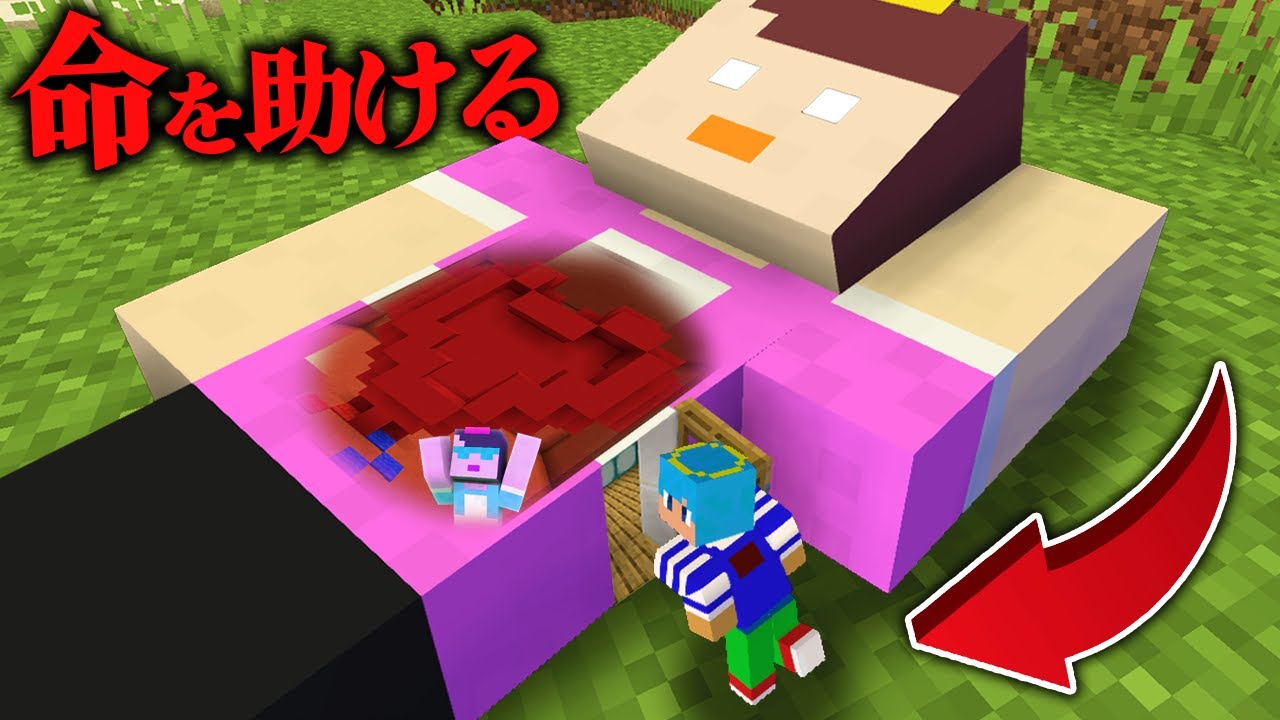 おかんの体の中に入って命を助ける【まいくら / マインクラフト】