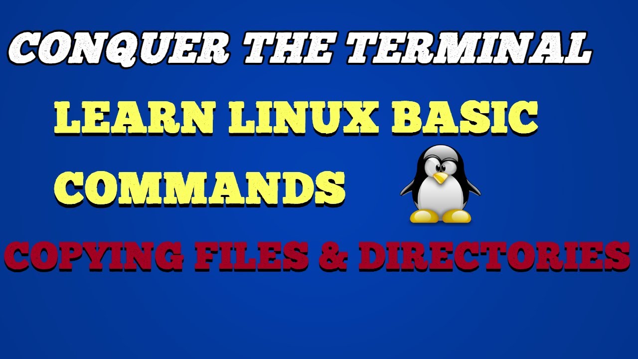 Conquer the Terminal: Learn Linux CP Command