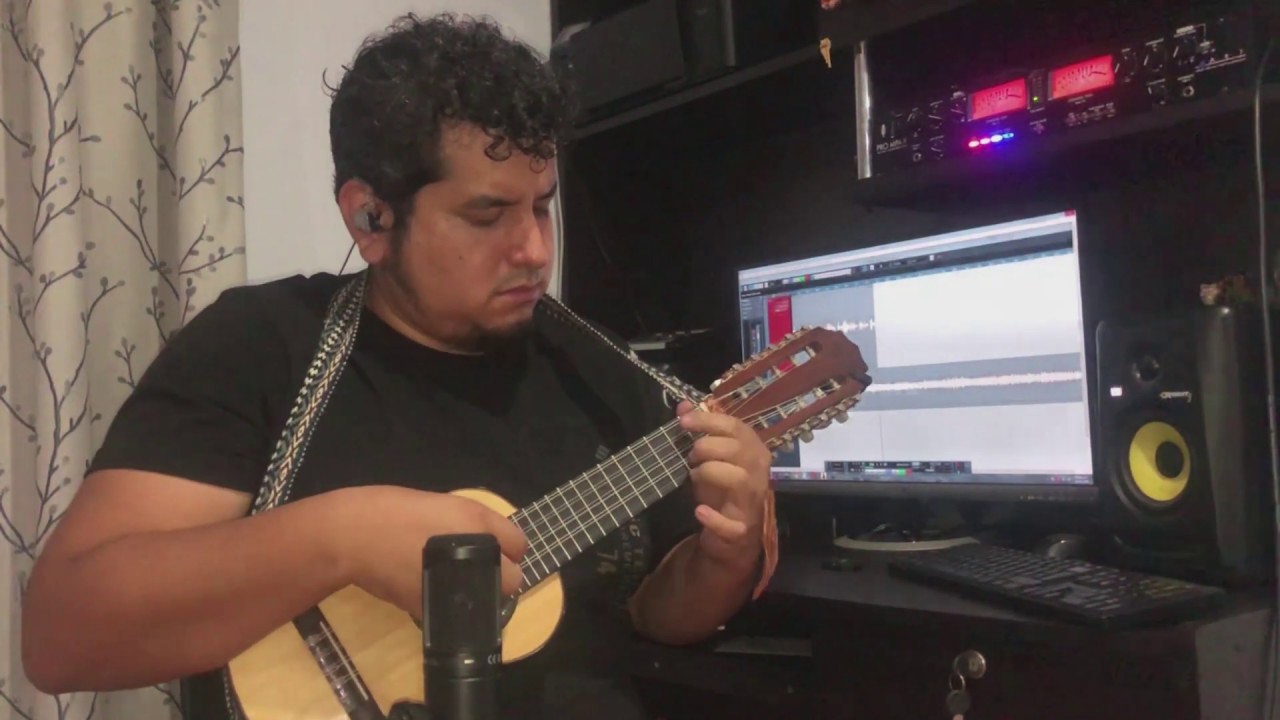 Palmeras - Charango