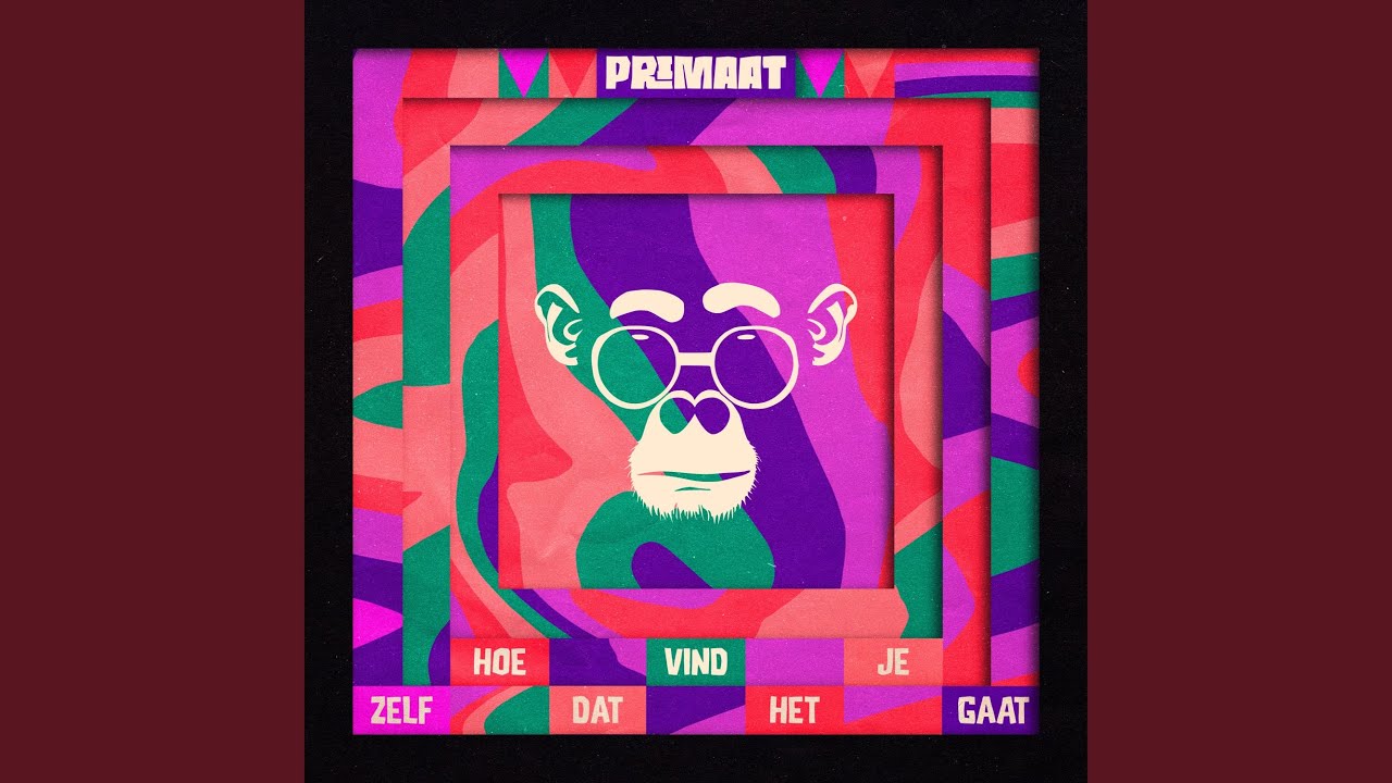 Hoe vind je zelf dat het gaat