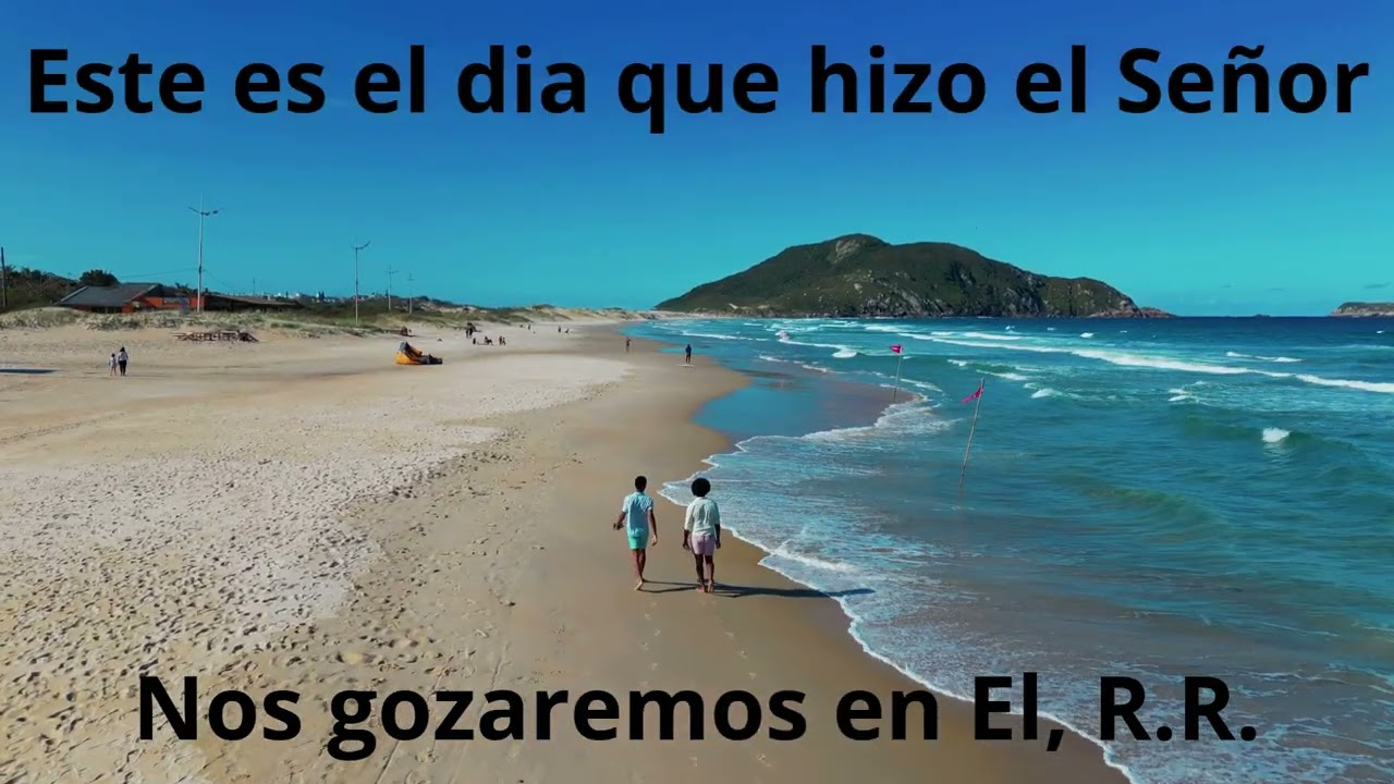 Mi primera Ley