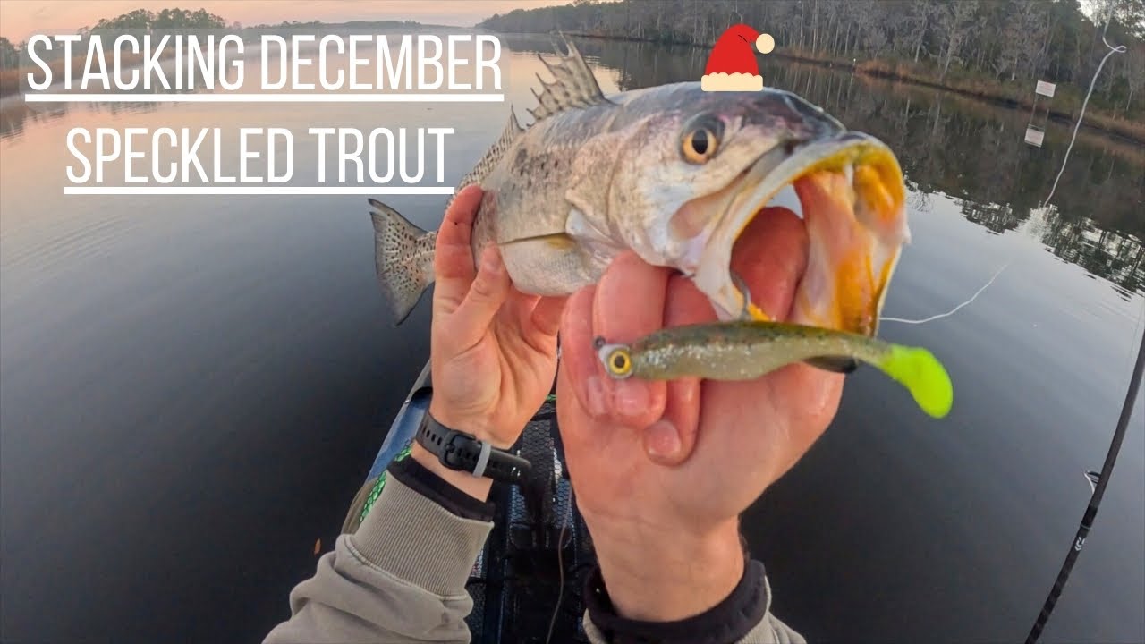Fishing Deep Back Creeks For Keeper Seatrout!
