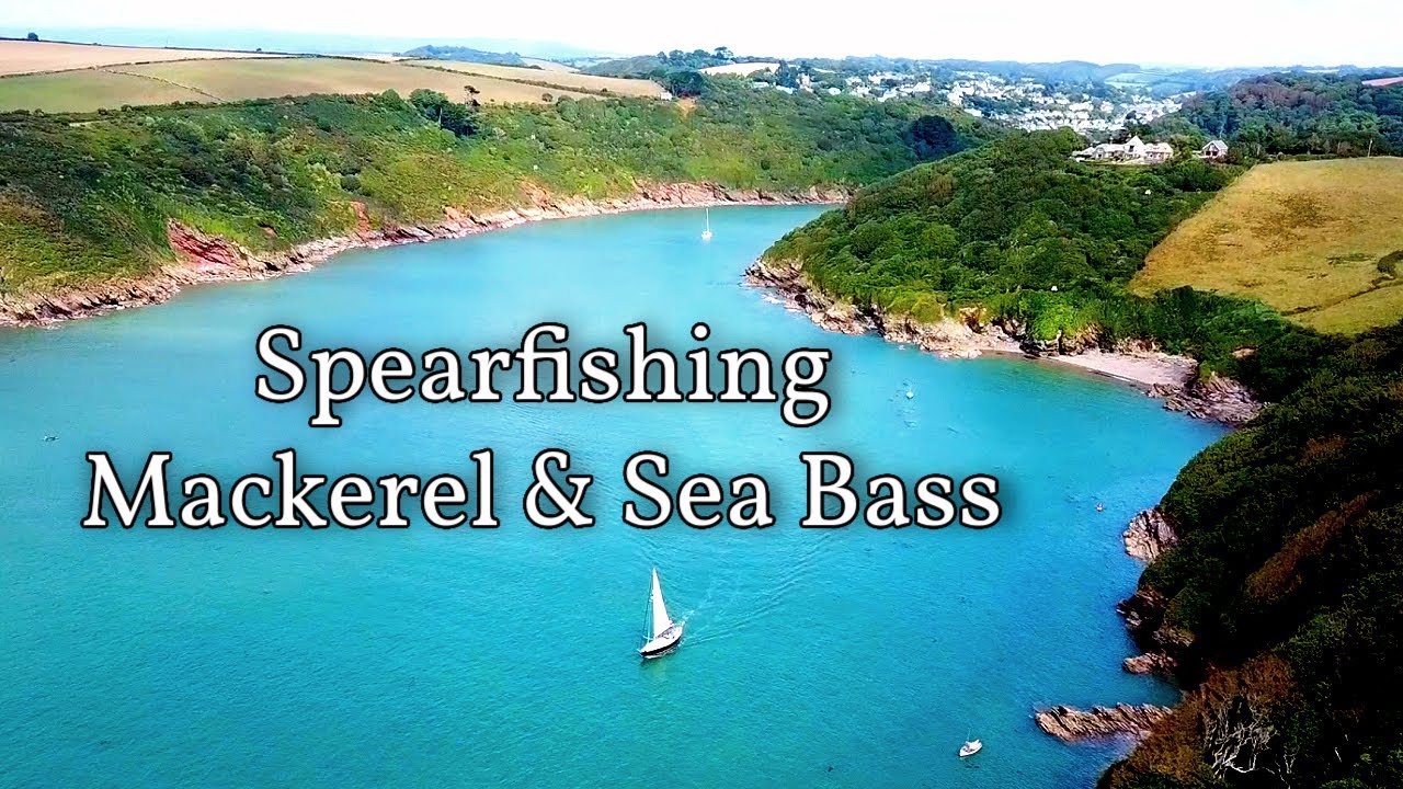 Spearfishing Mackerel and Sea Bass on my Homemade Speargun