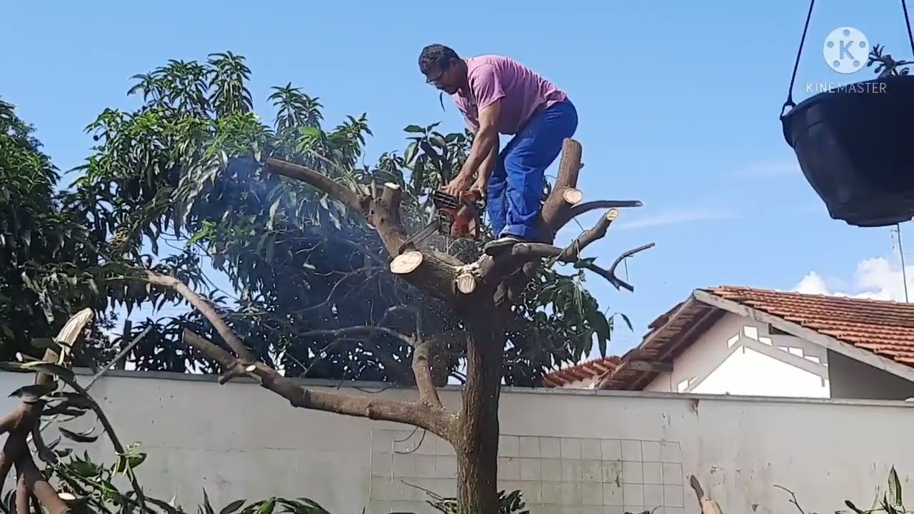 cortando uma mangueira
