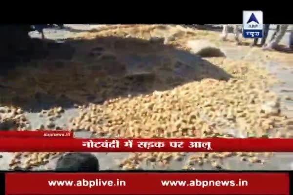 Indore: Farmers strew potatoes in protest after prices fall to Rs 5/kg