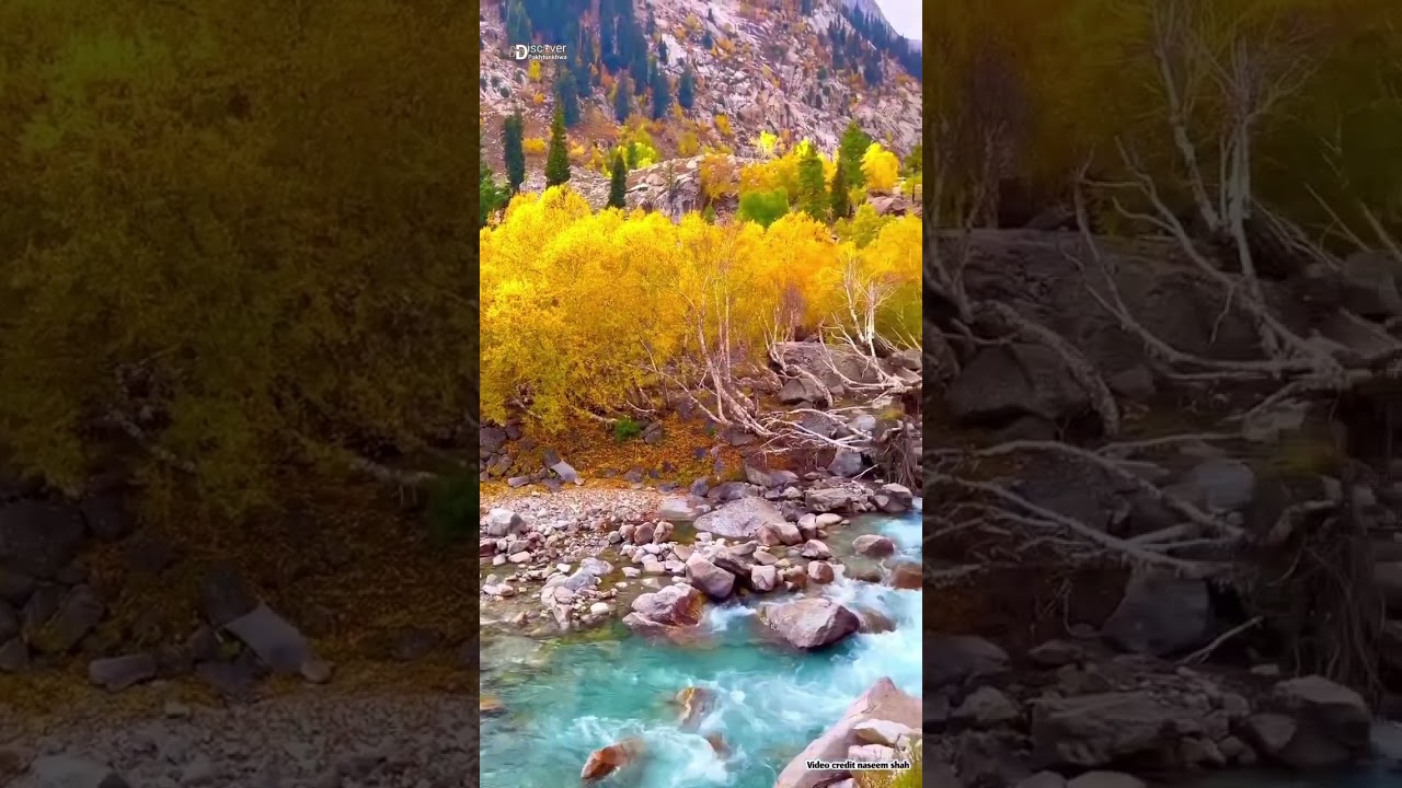 The Coolest 4K Video | Dolby Vision HDR 4K 60fps with Relaxing Music for stress relief