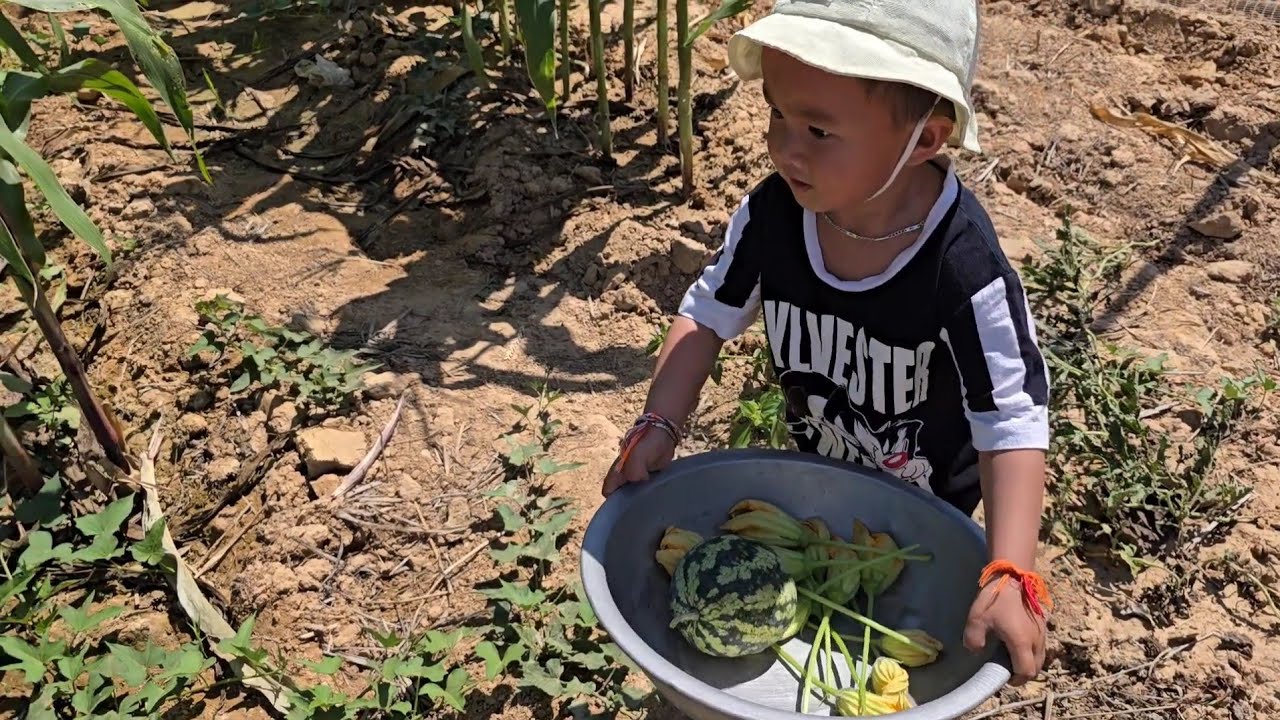 เก็บดอกฟักทองมาแกงใส่หน่อไม้ ธันวาน้อยเริ่มพูดเก่งแล้ว