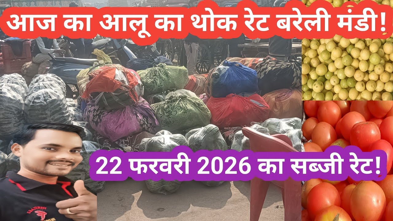 Wholesale vegetable rate of Bareilly Mandi on 22 February 2026!! Wholesale vegetable price!!