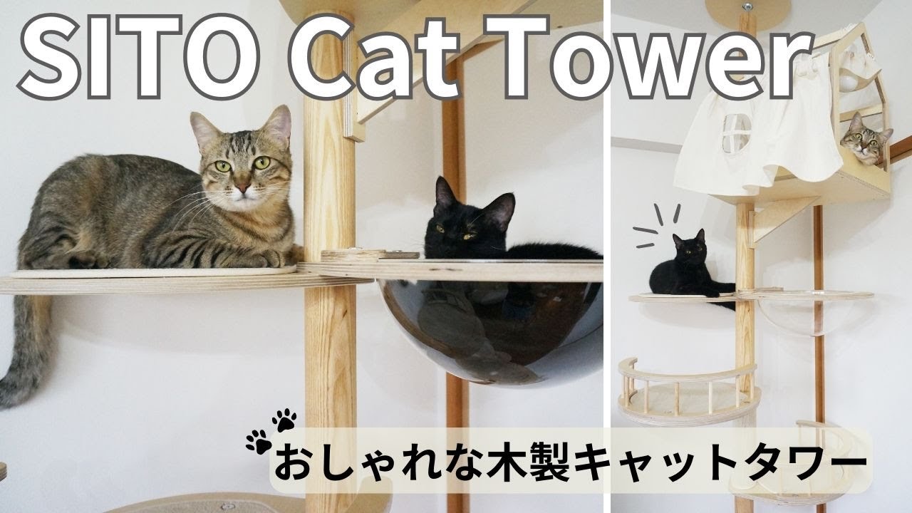 おしゃれな木製キャットタワー！SITO Cat Towerをレビュー【可愛くて超おすすめ！Sorbet購入品】#92