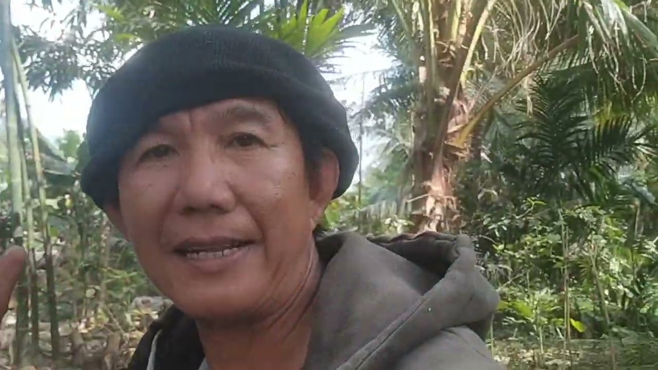 Tranh thủ bắt hai tổ ong dọn kèo đoán tết 