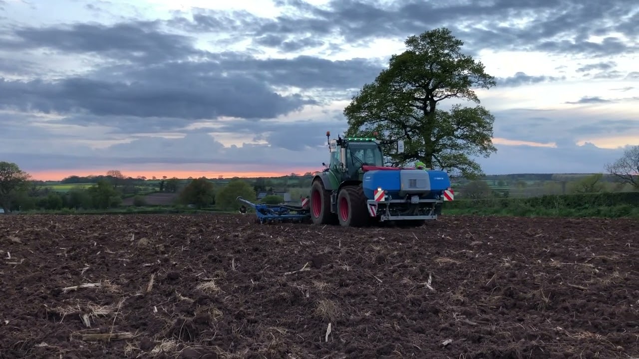 Maize drilling 2021