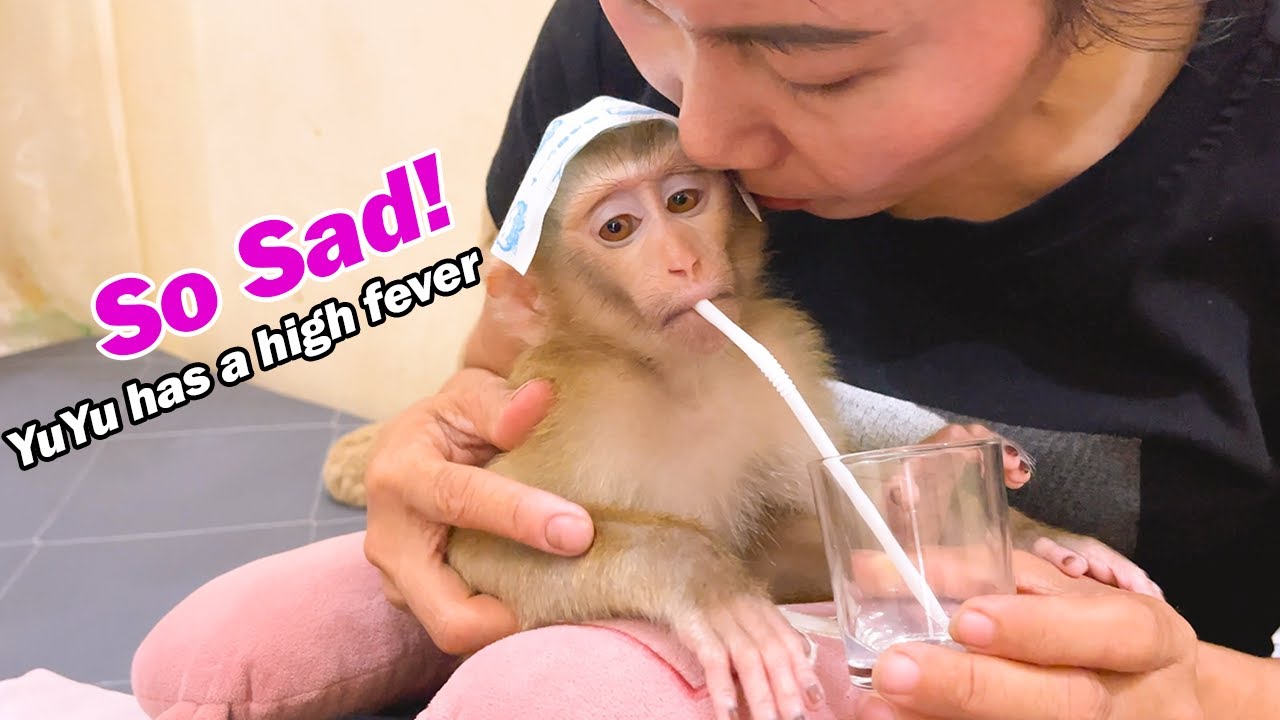 So sad! YuYu suddenly has a high fever, making Mom worried!