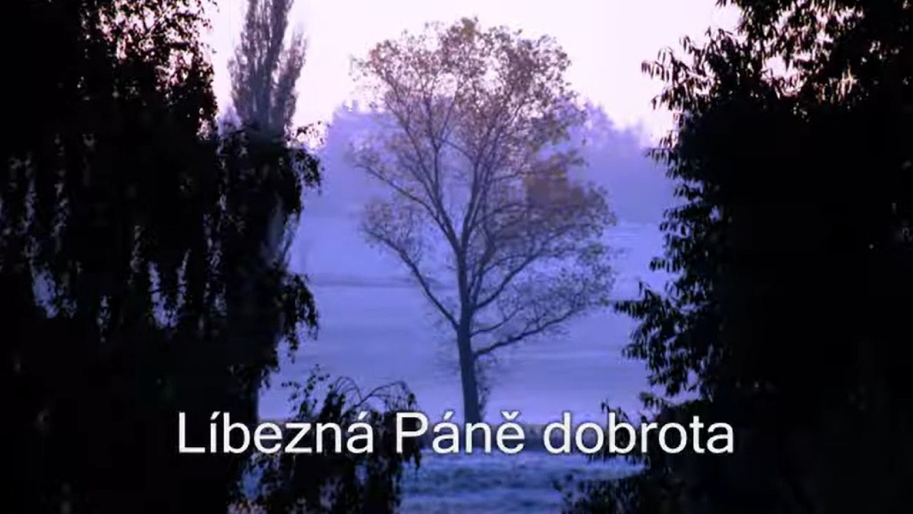 Jiří Zmožek - Líbezná Páně dobrota