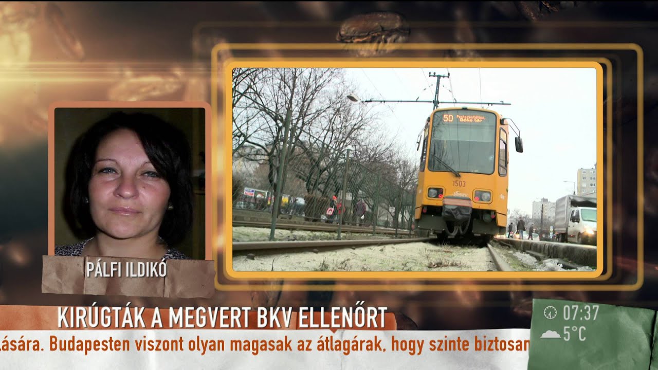 Miért nem kapott segítséget a BKV-tól a megvert ellenőr?  - 2016.01.12. - tv2.hu/mokka