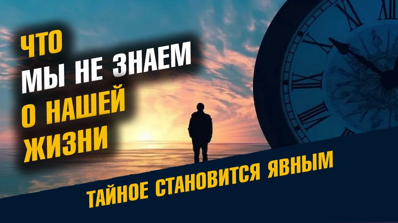 Что Мы Не Знаем О Нашей Жизни