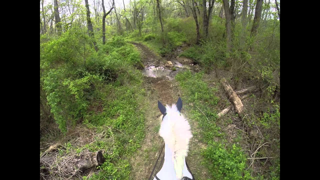 Hunter Pace 5 GoPro Raw Video