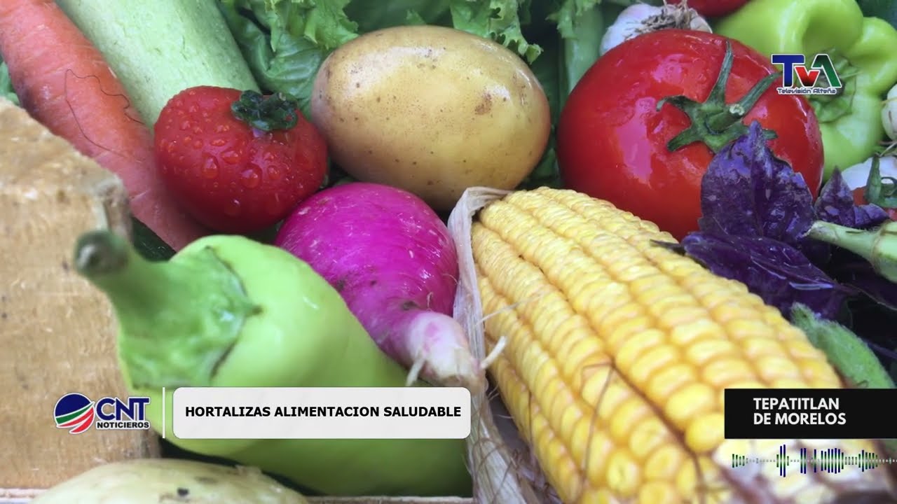 Hortalizas de temporada | sabor, salud y equilibrio en tu alimentación 🥕🥬
