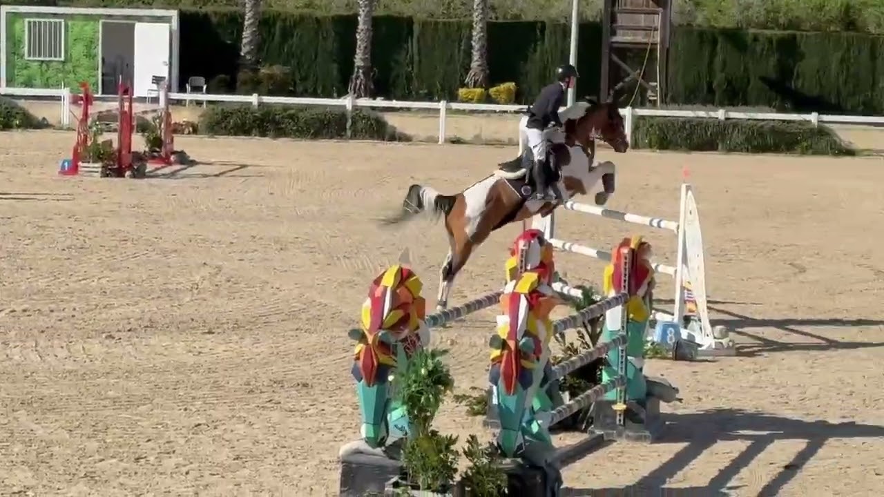 ERDOAN VAN DE NEERHEIDE Z - VALENCIA 2026 W3