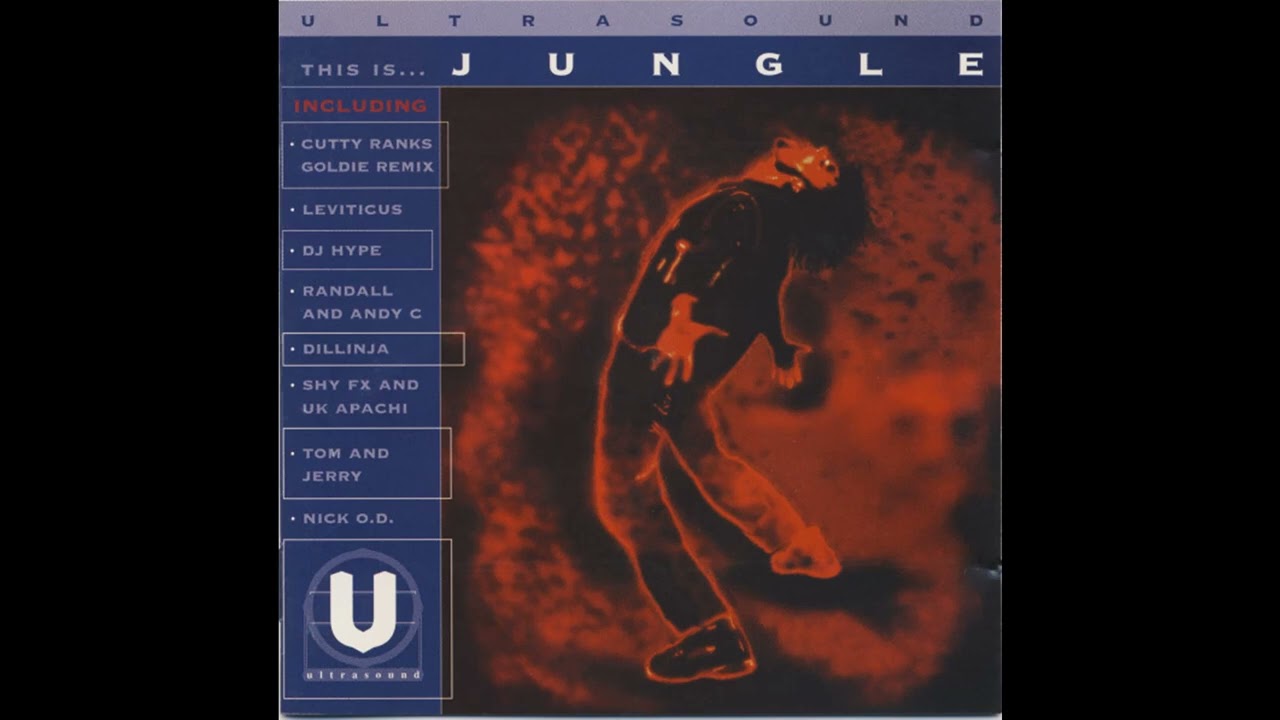 Various - This Is... Jungle (1994)