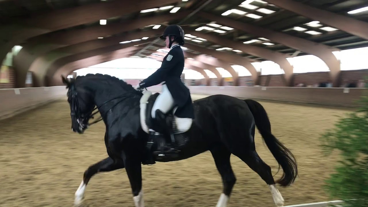 2019.05.18 Lena Backes mit Fioretto Festival -Silberschleife in der S-Dressur