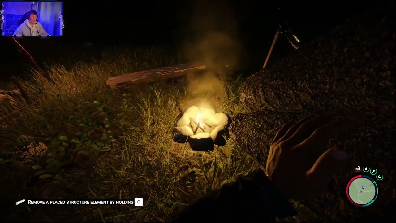 Sons Of The Forest - Surviving the wild pt.1 (Part 3/20)