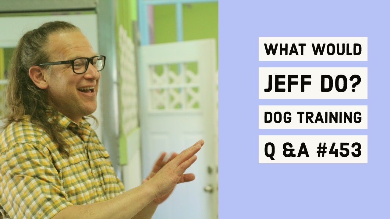 Stop dog whining | Dog fearful of strangers | What Would Jeff Do? Dog Training Q & A 