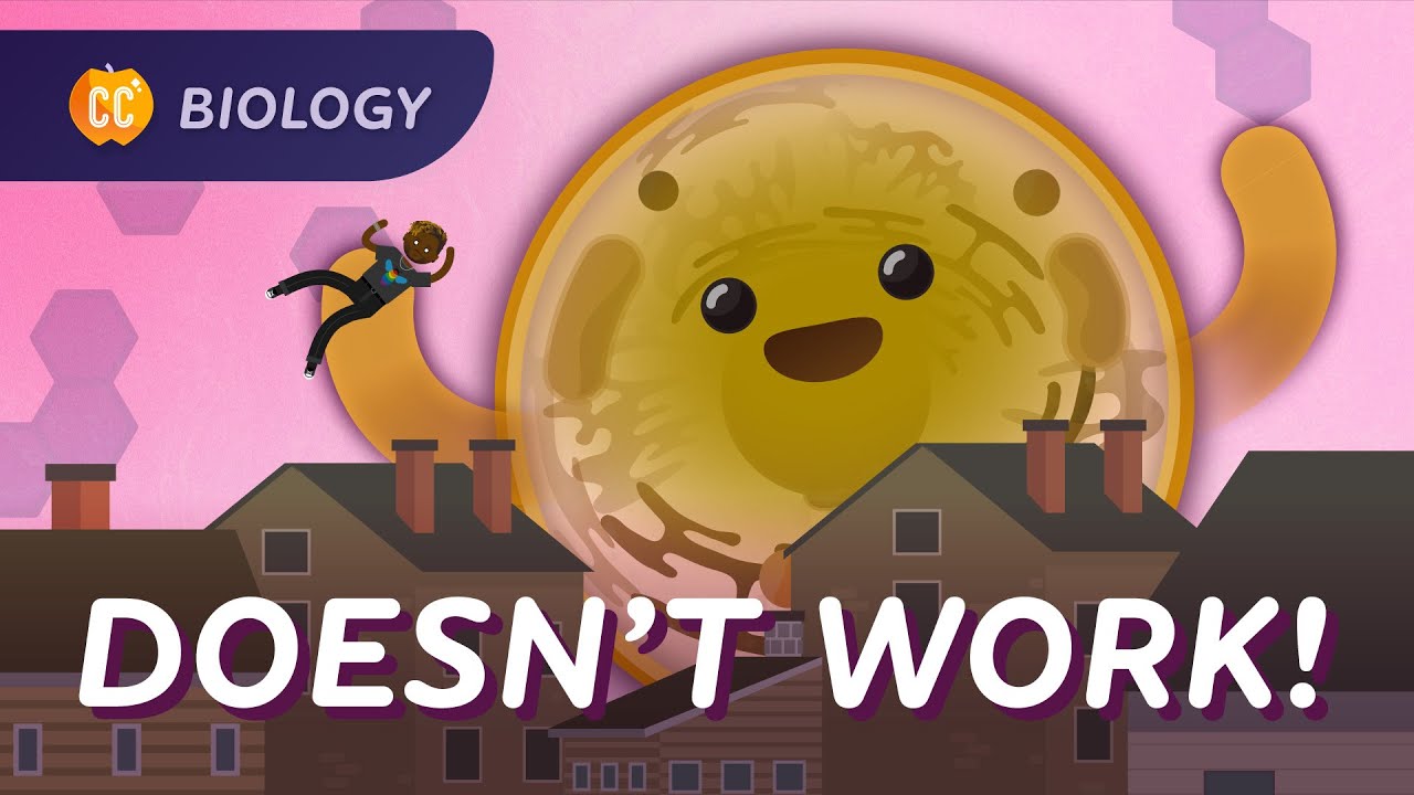 Multicellular Function: Why We Aren’t Just One Big Cell: Crash Course Biology #41
