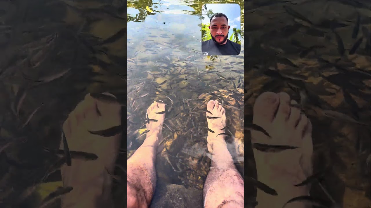 Los peces se comen mis pies 
