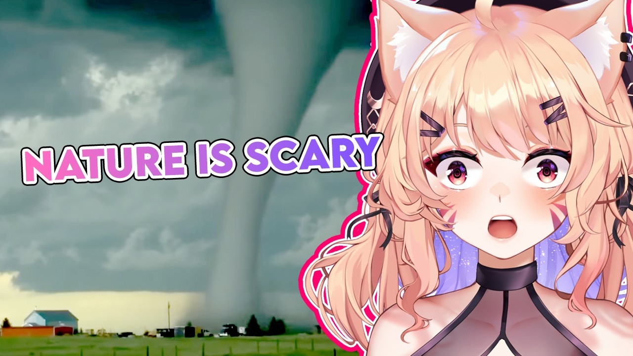 Craziest Nature Videos of the Decade!