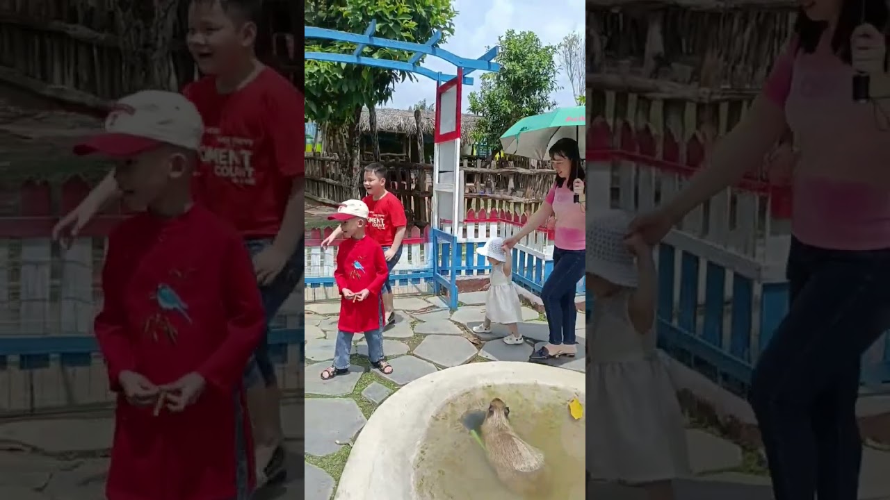 Tham quan vườn thú