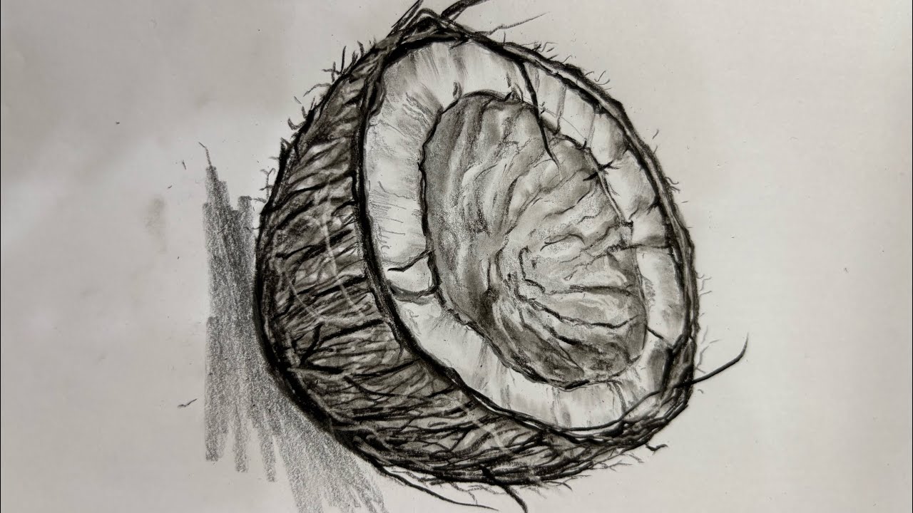 Drawing tutorial for beginner-Day -2#drawing #sketching 