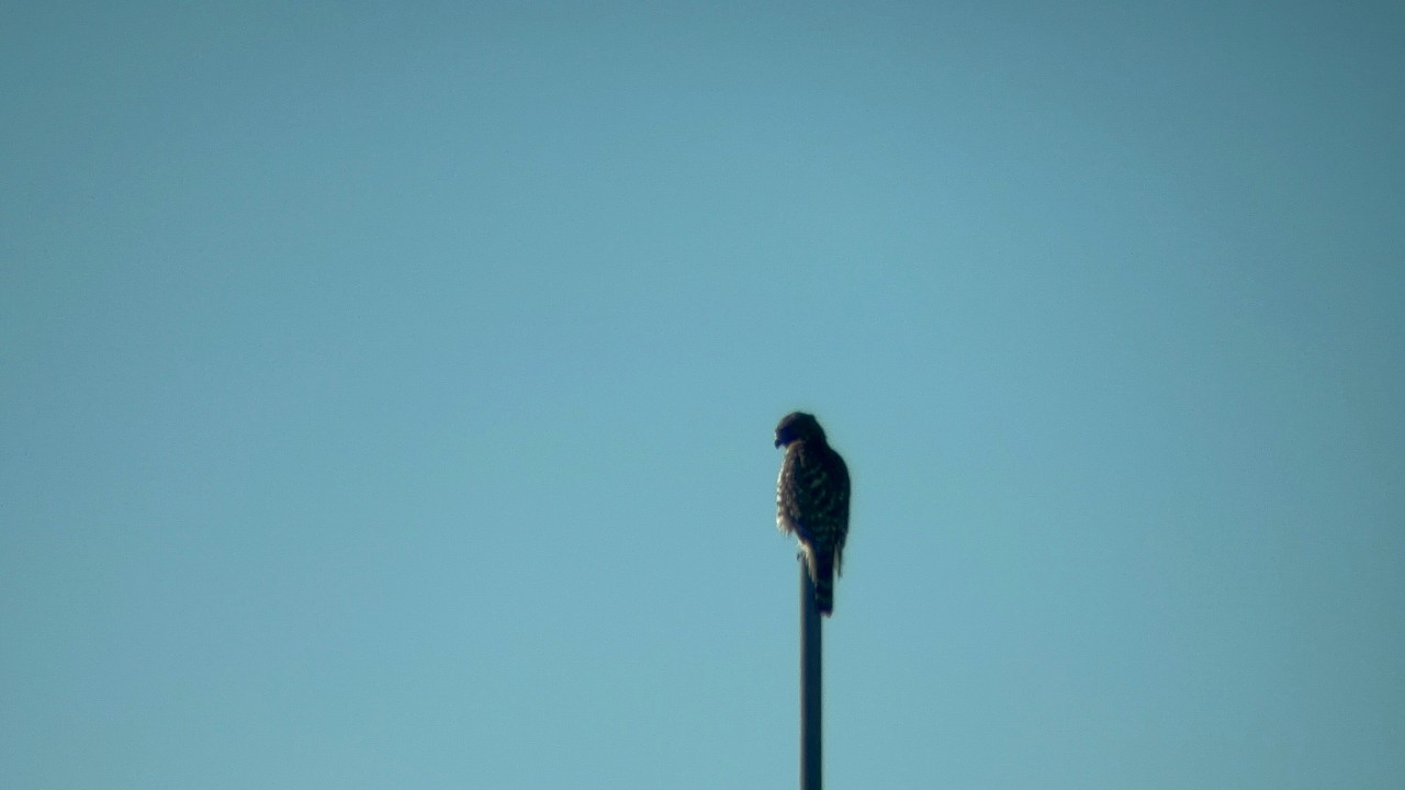 #makeyoutubelessextreme2.0