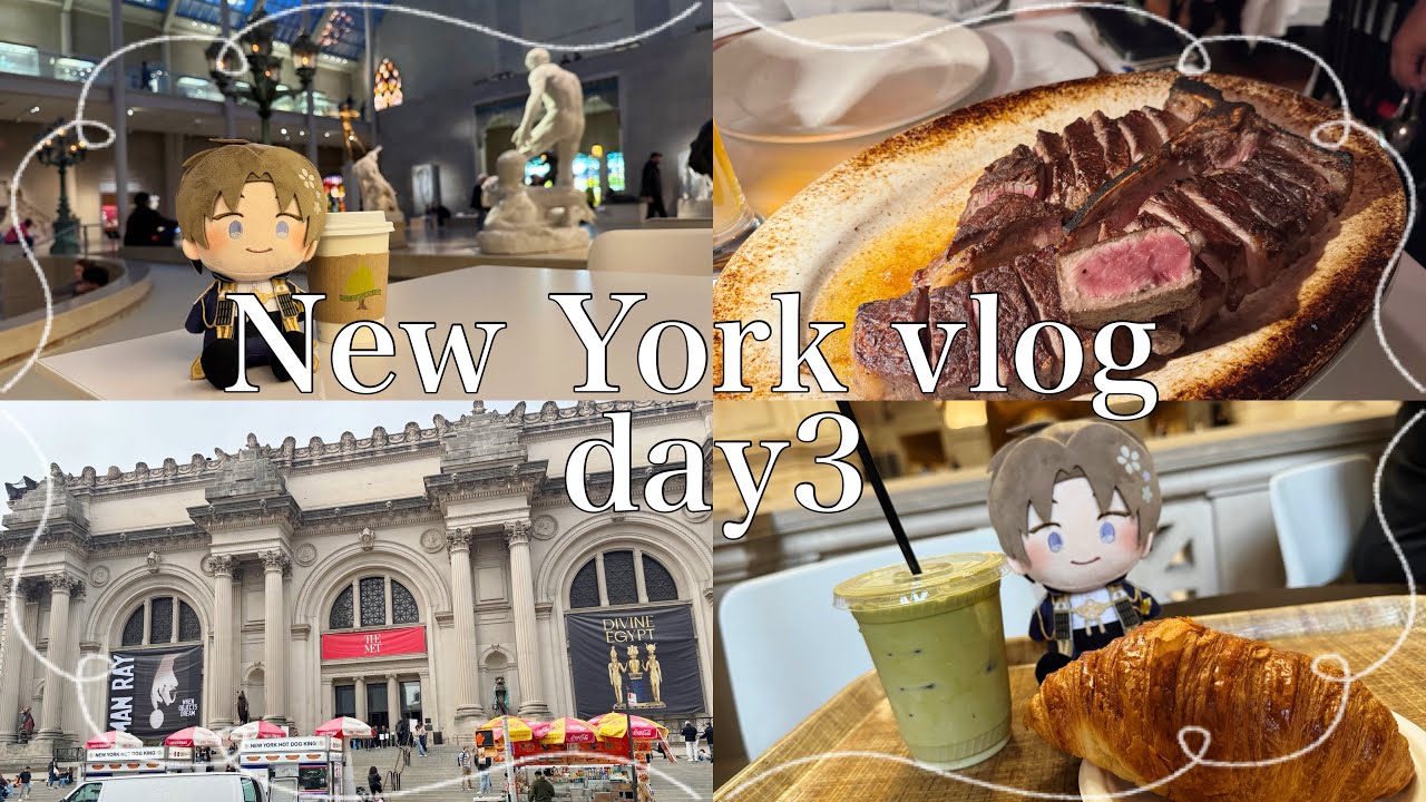 【NY vlog】わんぱくはせべとニューヨーク旅行🗽【day3】